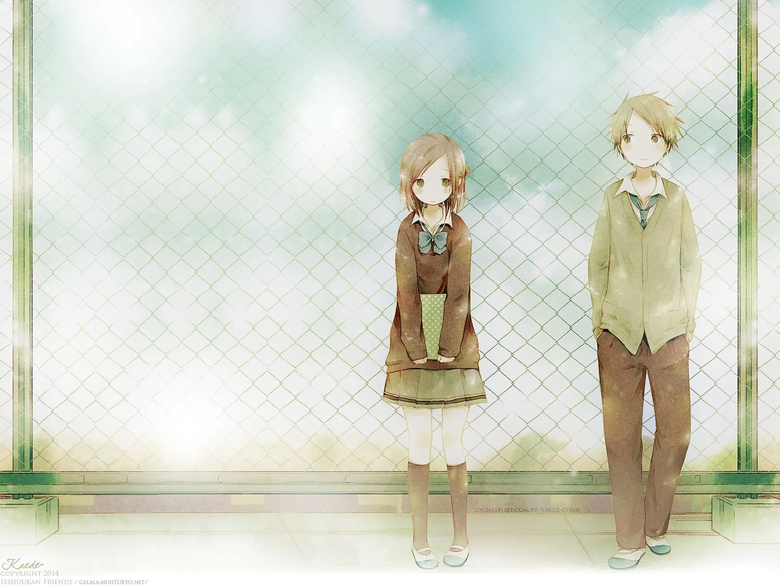 isshuukan friends.